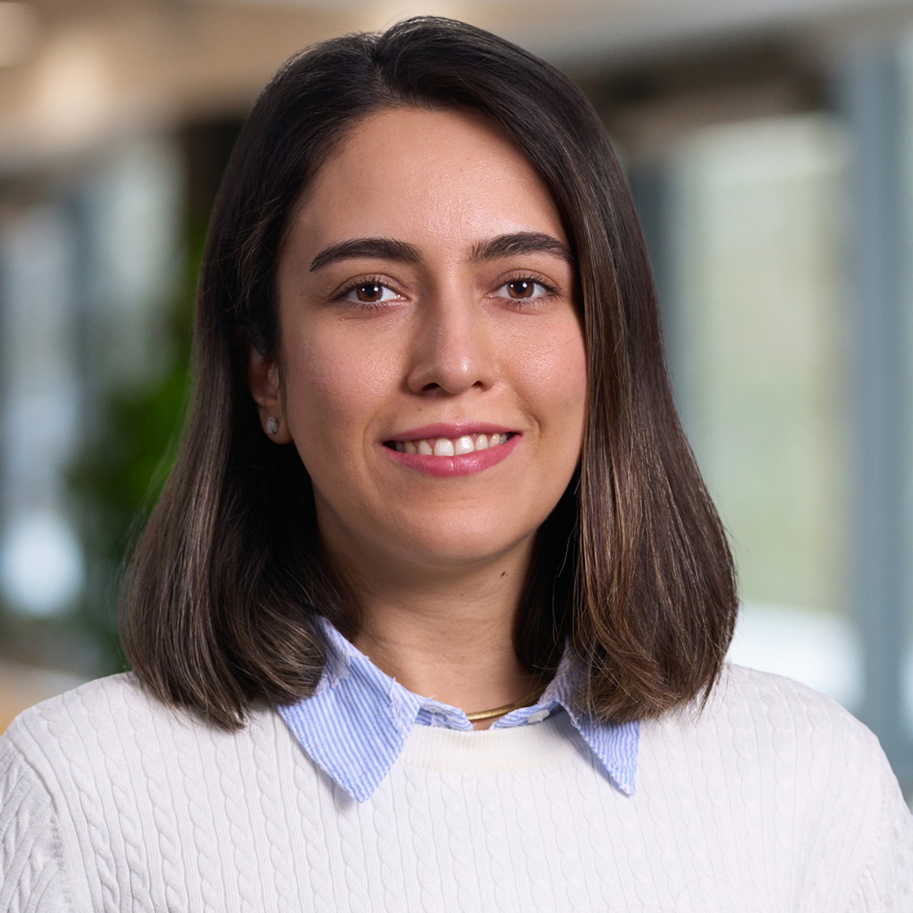Elnaz Azizi
