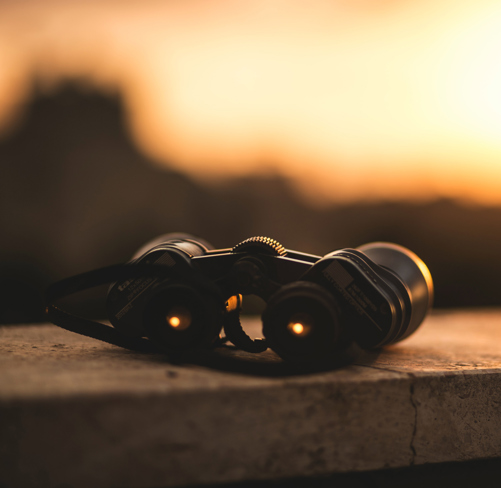GMP Insights