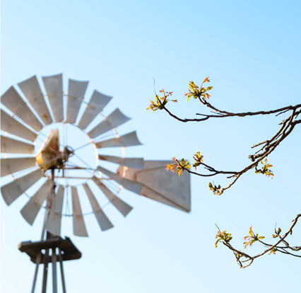 Simplifying DC benefit statements to increase engagement