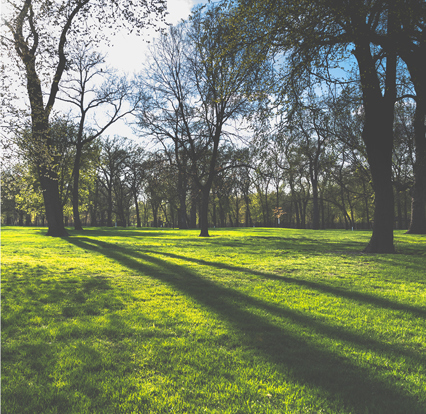 Q&A with John Ashworth, Trustee to the Littlewoods Pensions Scheme
