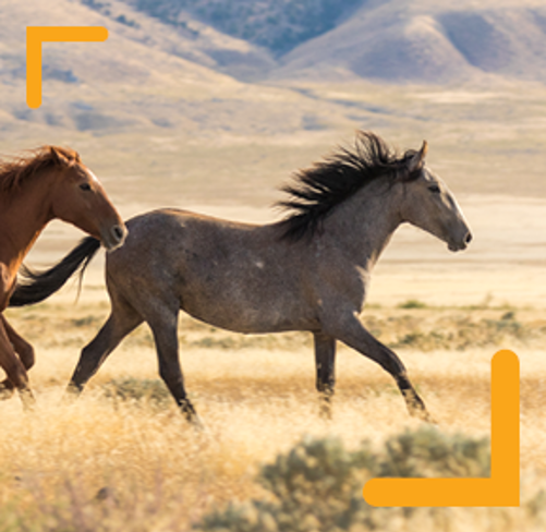 Leading the way 2022: Corporate journey planning