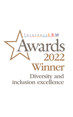 Diversity and Inclusion Excellence 2022
