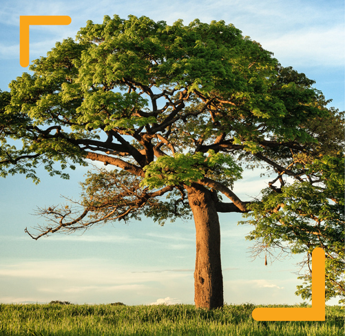How can we ensure DC savers achieve good outcomes post retirement?