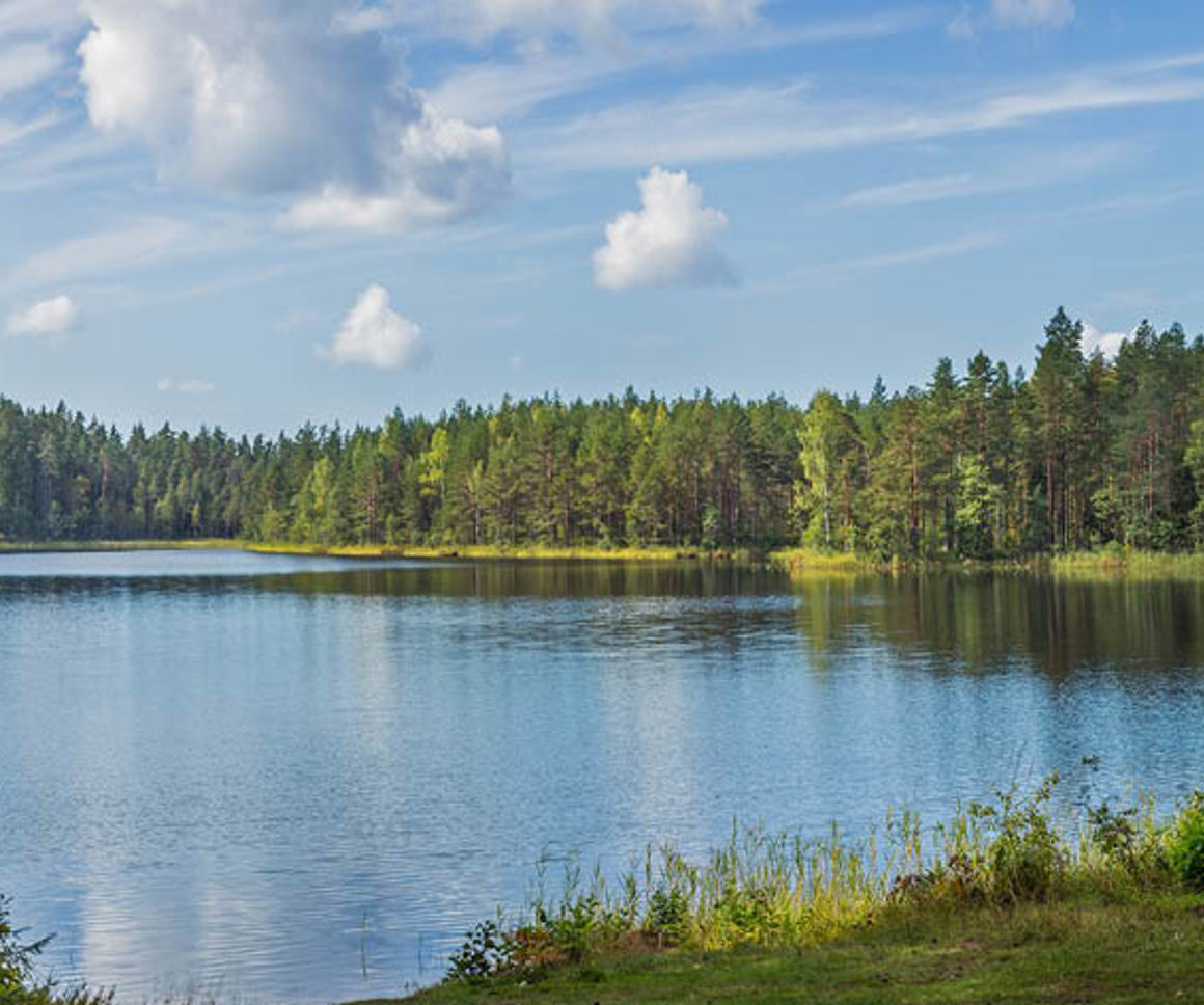 Blue sky over a lake in a forest