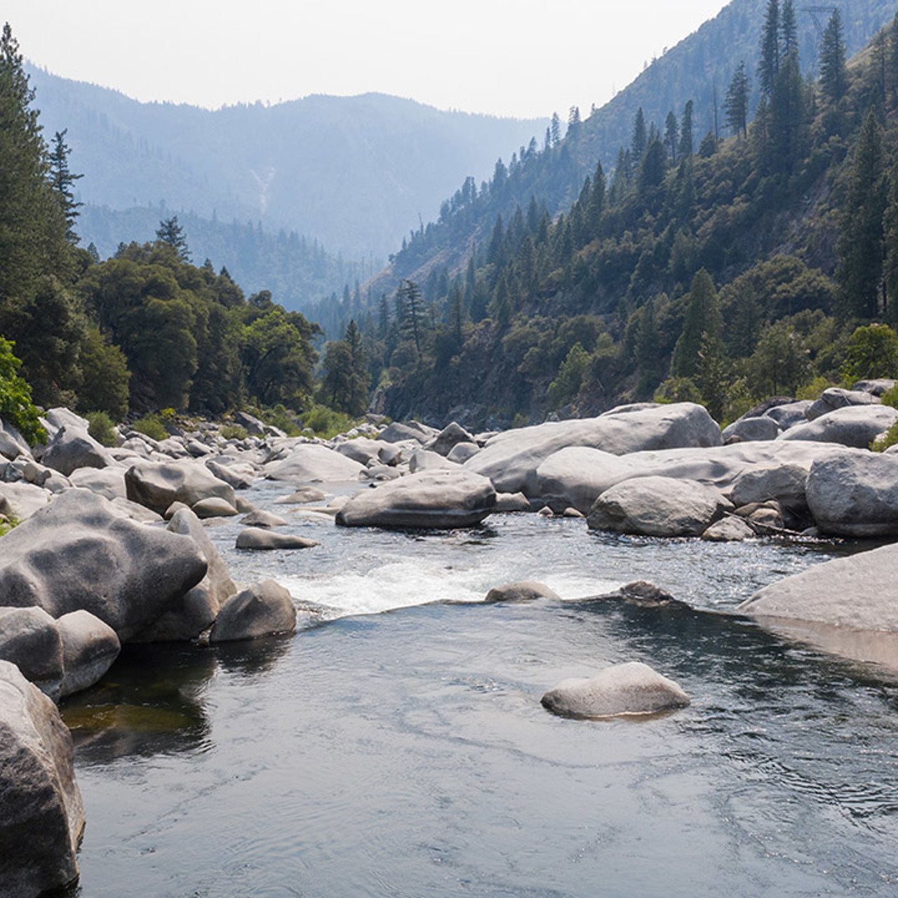 Rocky Mountain River