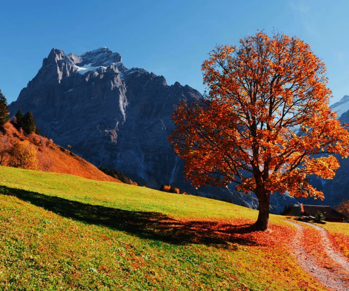 What does the FCA’s new Value for Money (VFM) consultation mean for UK DC pensions