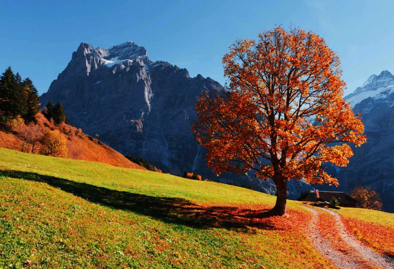 What does the FCA’s new Value for Money (VFM) consultation mean for UK DC pensions