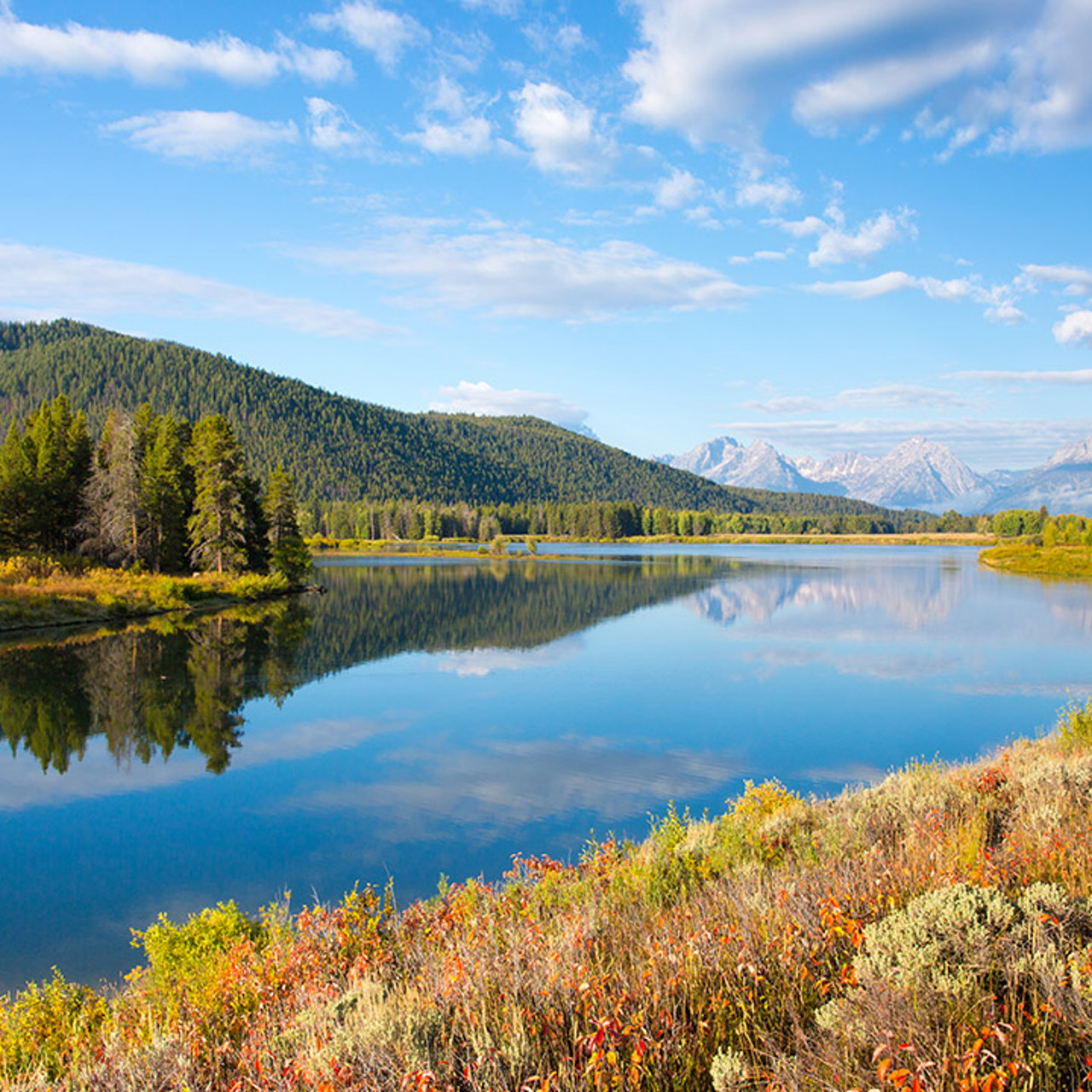 Sunny Lake