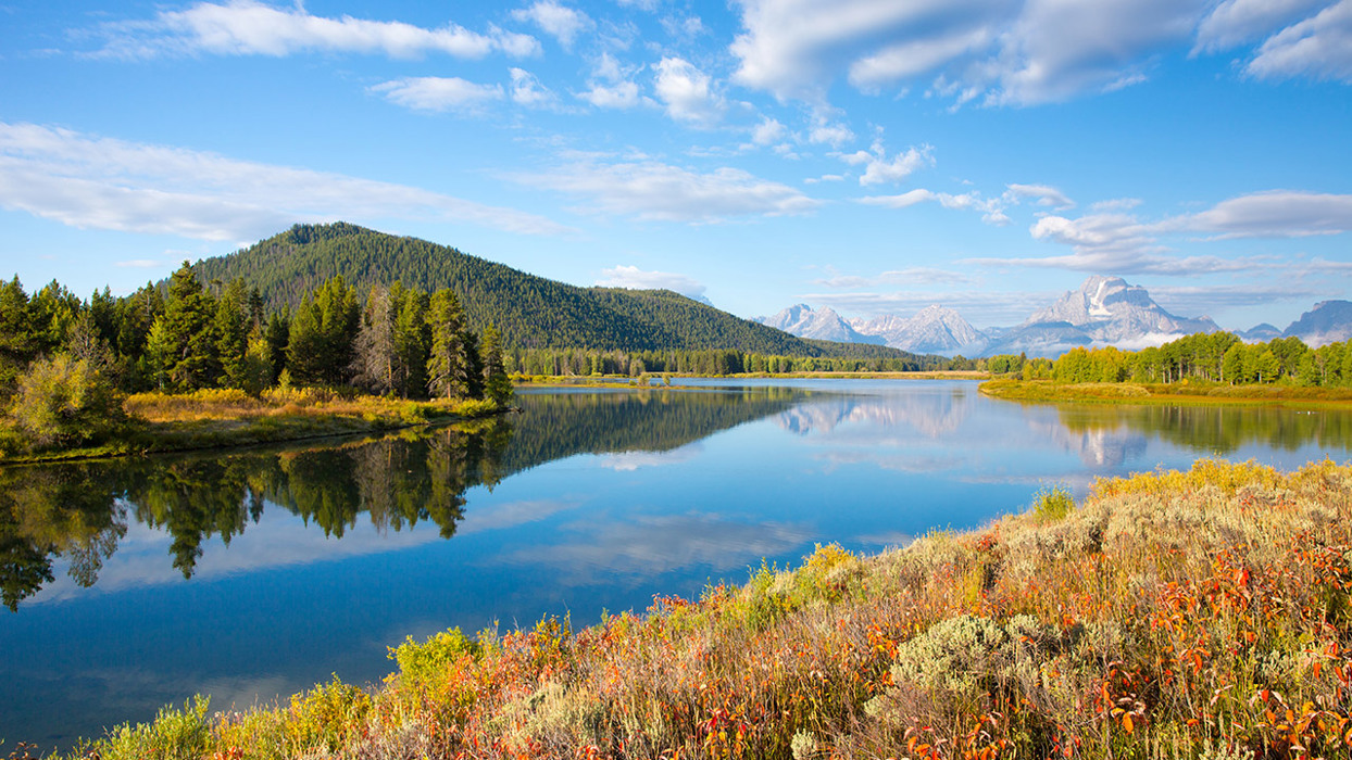 Sunny Lake