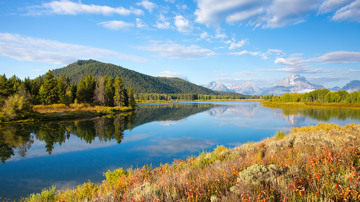 Sunny Lake
