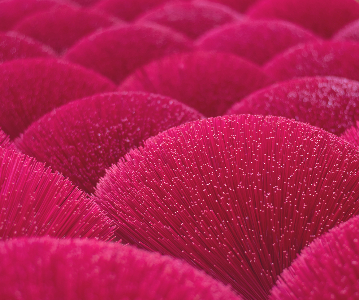 Abstract pink shapes