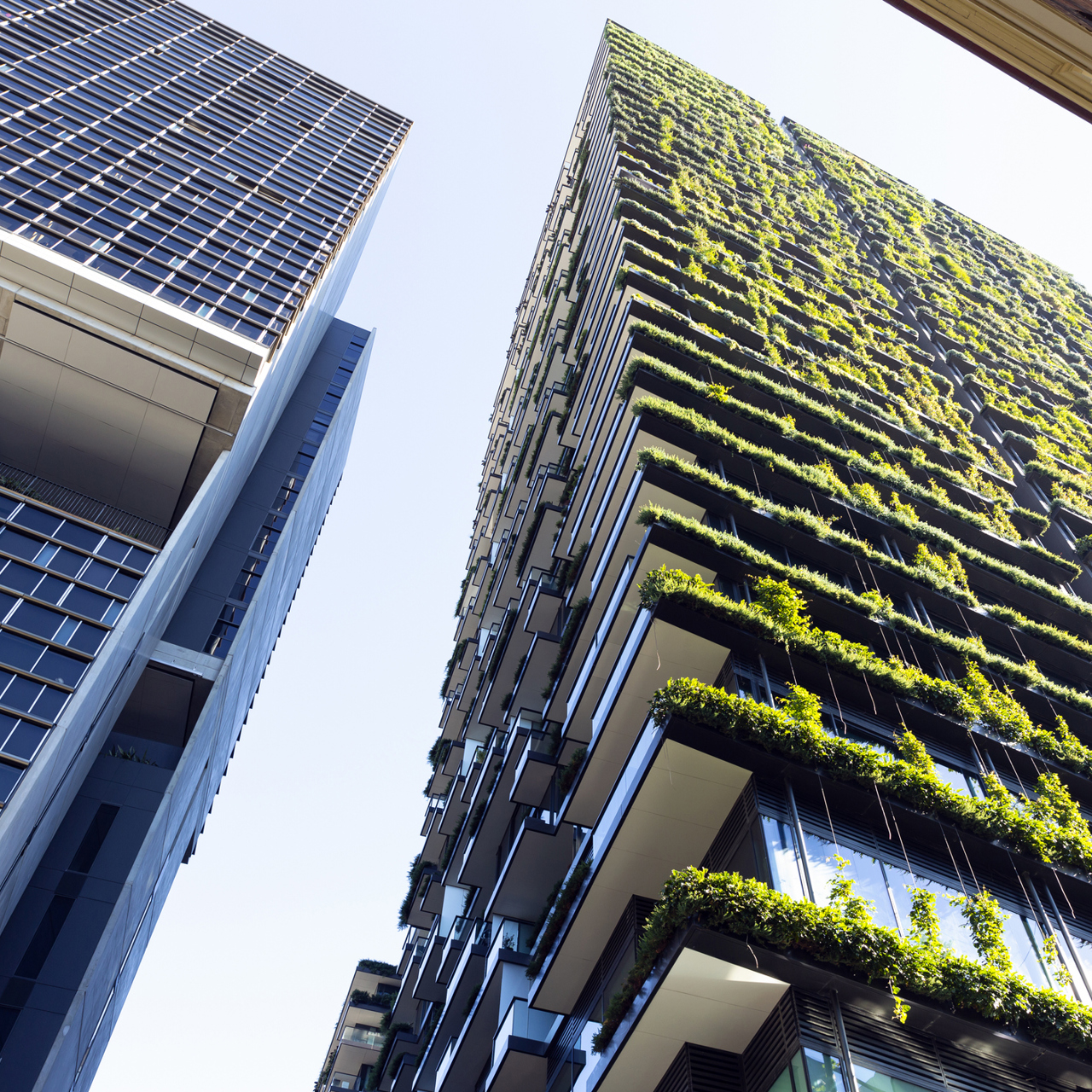Vertical Garden On A Commercial Building