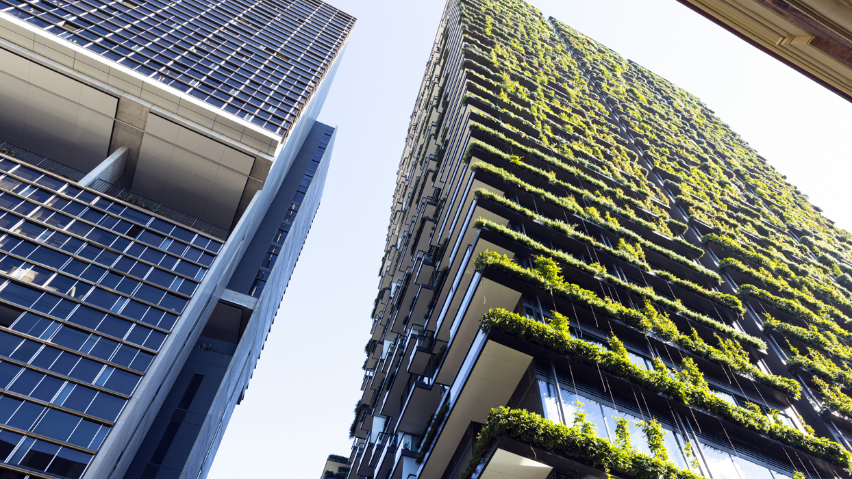Vertical Garden On A Commercial Building