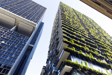 Vertical Garden On A Commercial Building