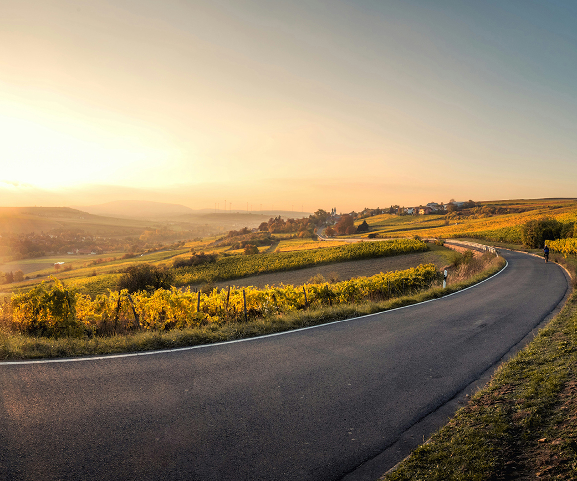 Road going through the countryside at sunset