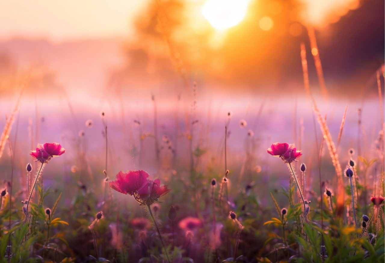 When The World Gets Uncertain What Does It Mean For Covenant Reliability