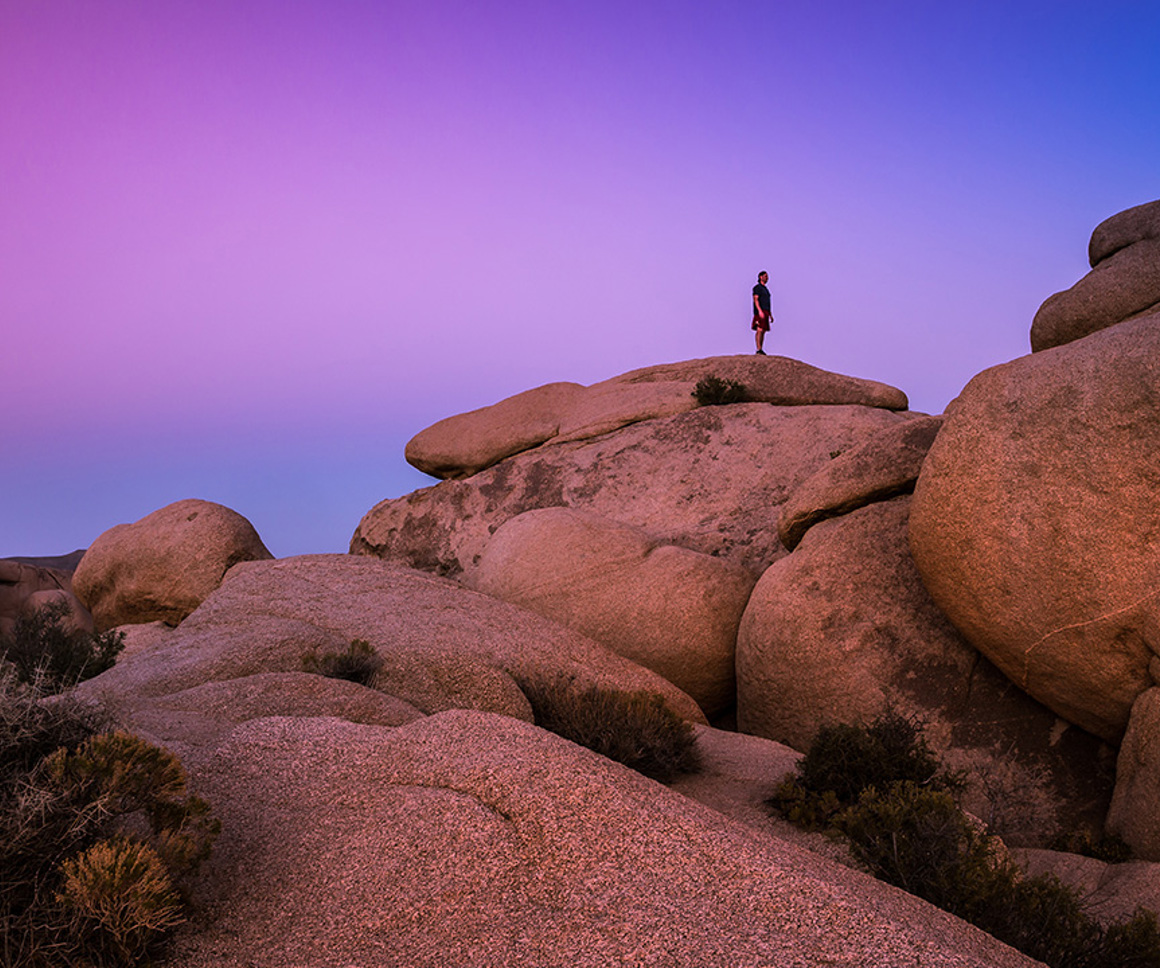 Joshua Tree