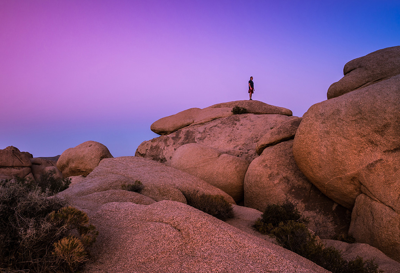 Joshua Tree