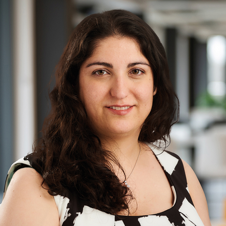 Negin Keyvan Negin Minakaran, Partner