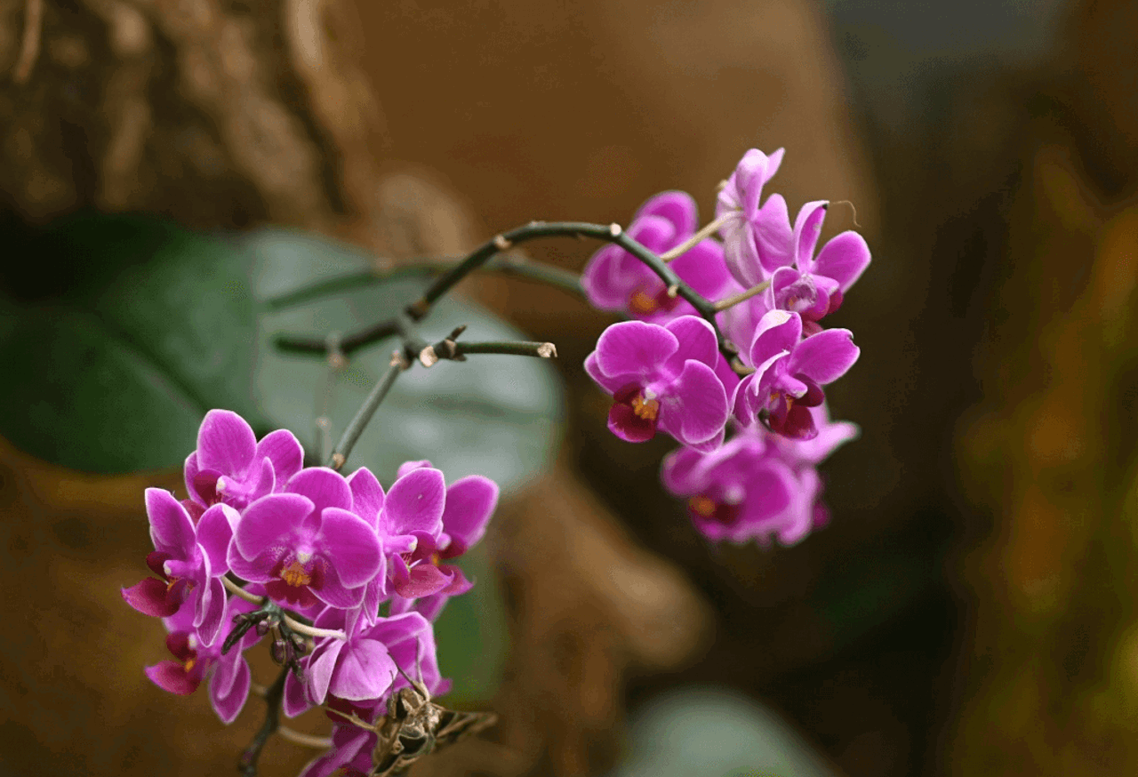 How can AI support better financial wellbeing for employees?