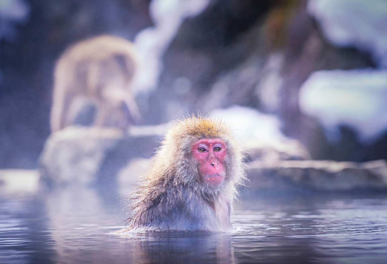 The next chapter for UK heat networks