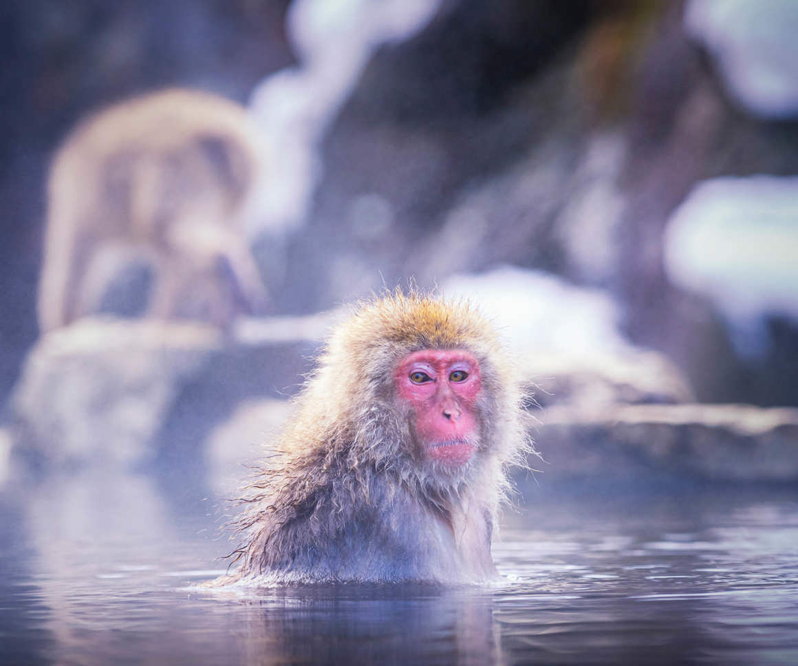 The next chapter for UK heat networks