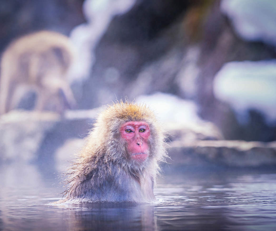 The next chapter for UK heat networks