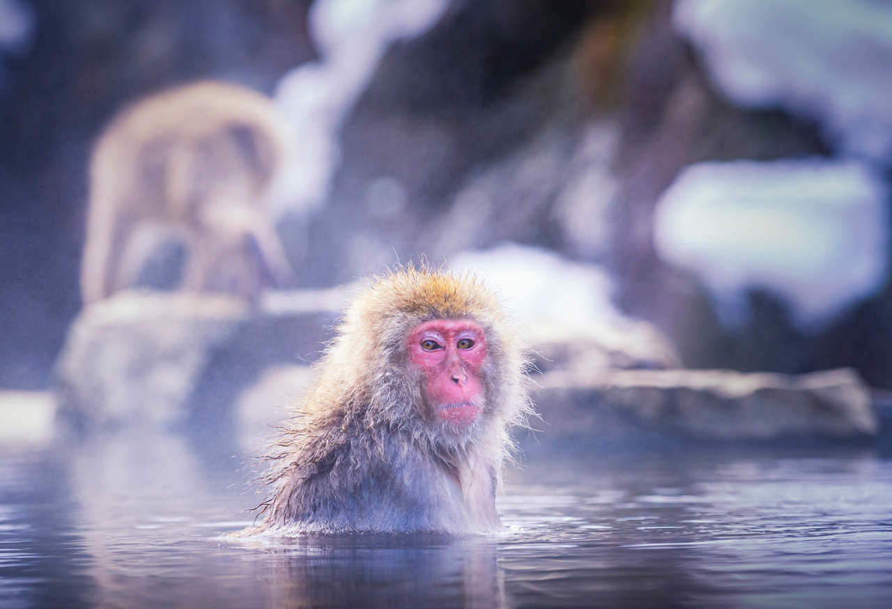 The next chapter for UK heat networks