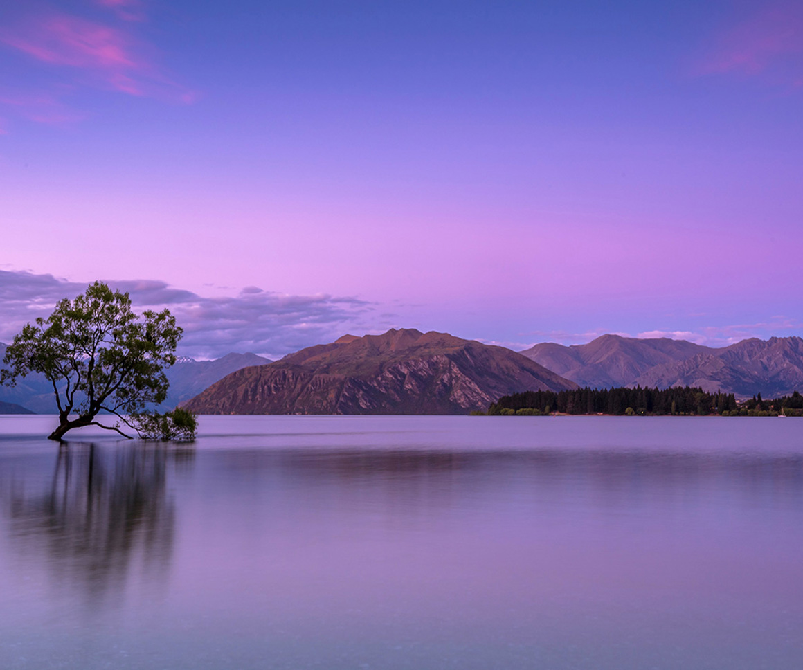 Tree in a lake with mountains in the background