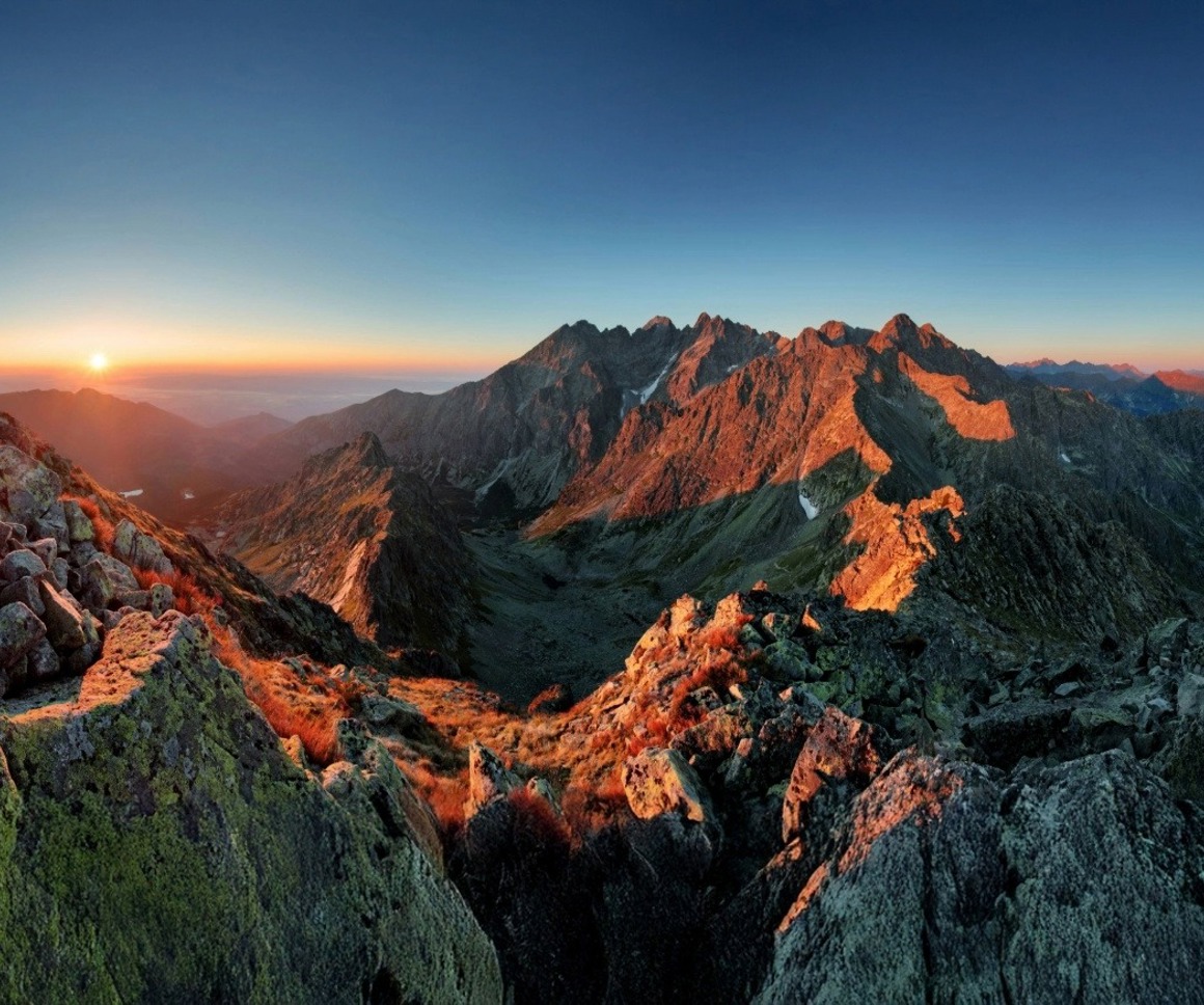 Insurers up their game amidst a changing landscape