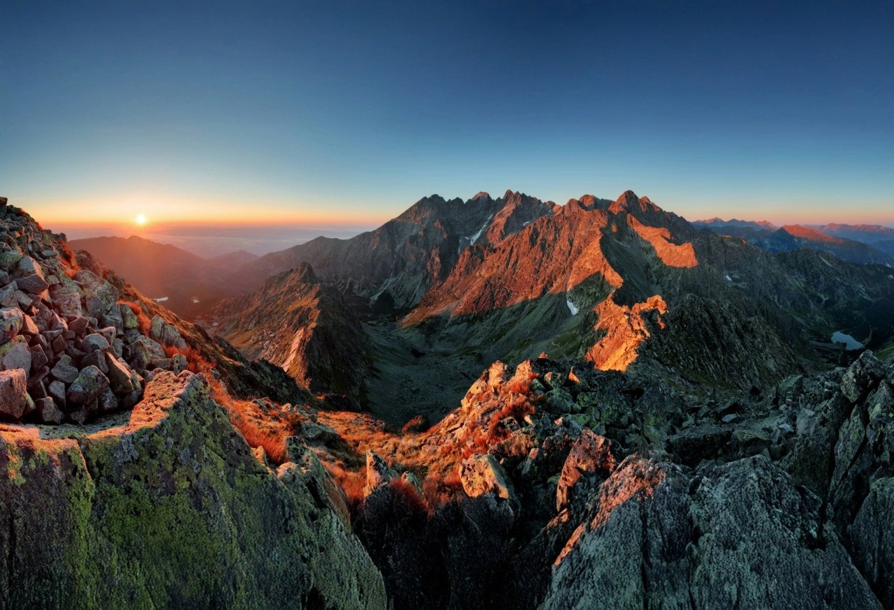 Insurers up their game amidst a changing landscape