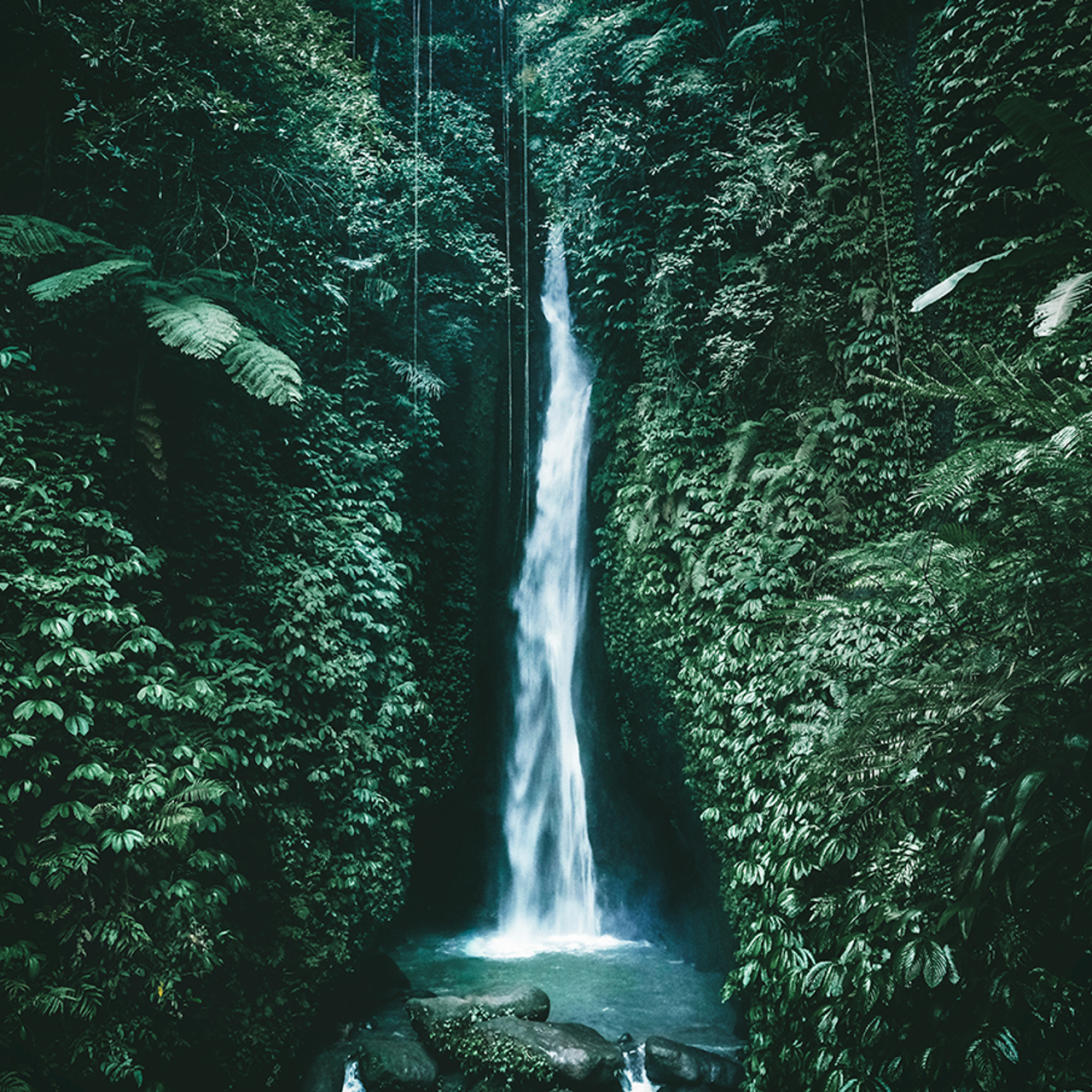 Waterfall in a lush forest