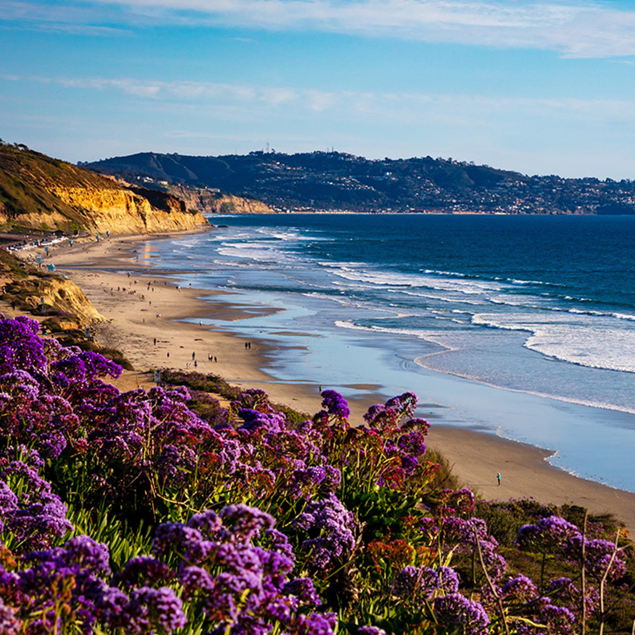 San Diego Coast Line