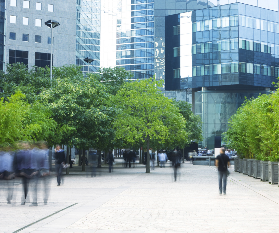 Commercial Buildings And People In A Green Space