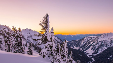 Snowy Vista