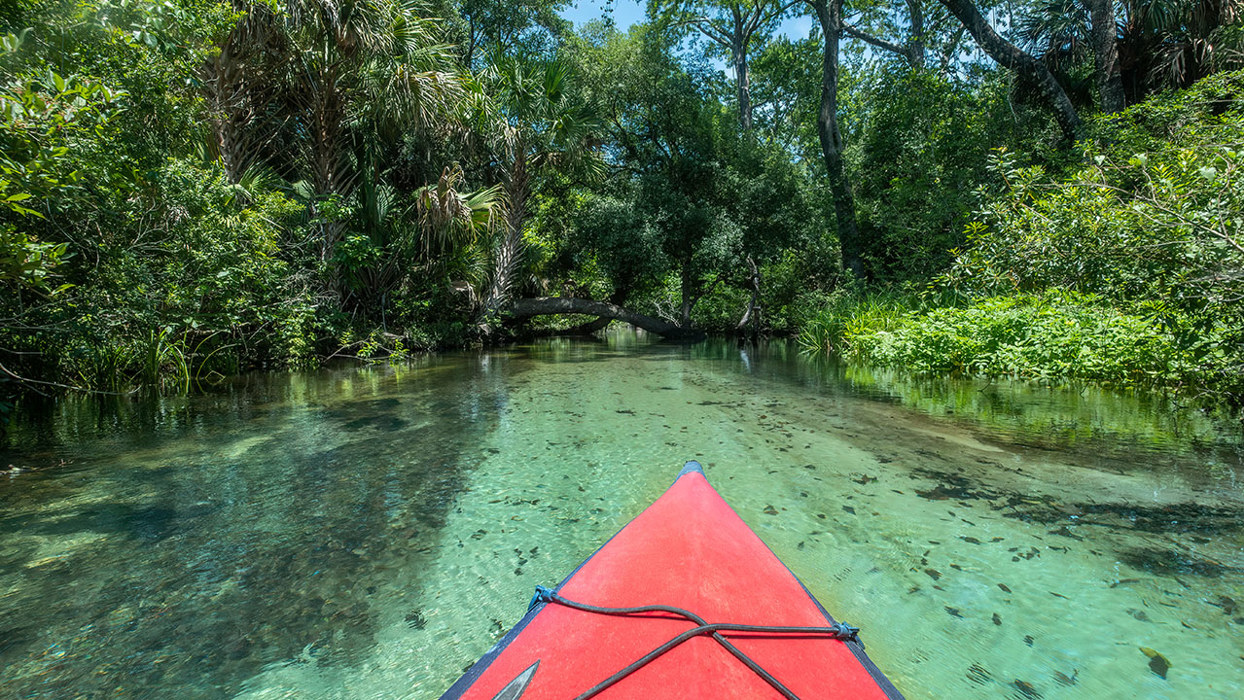 Everglades kayaking