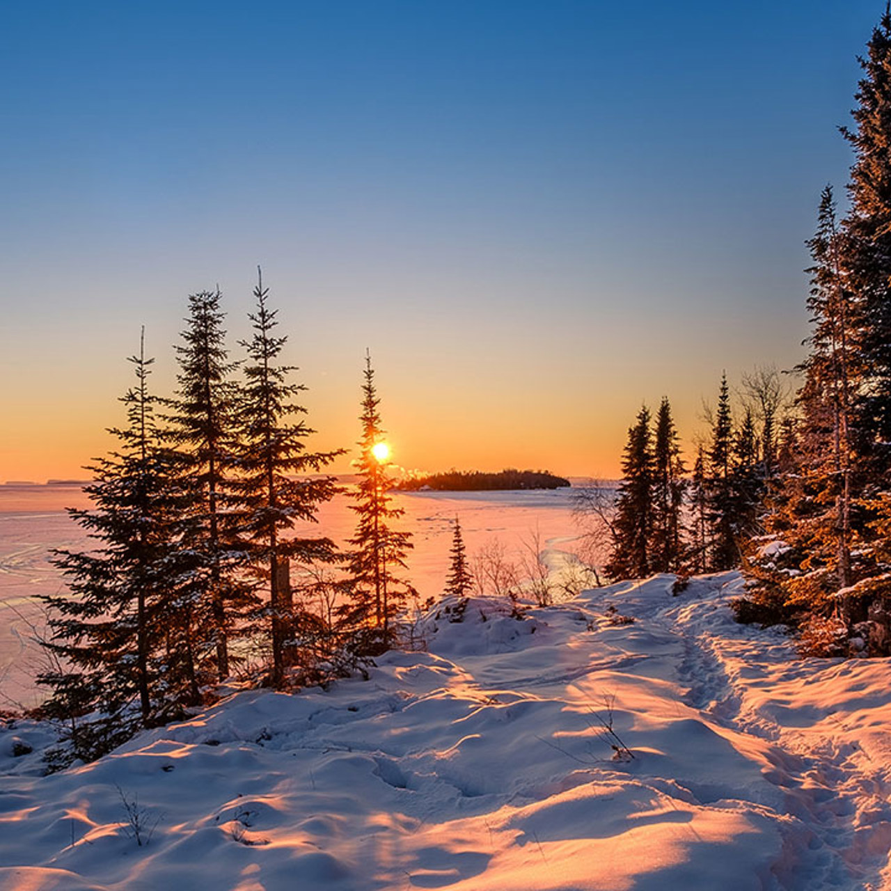 Snowy Sunrise