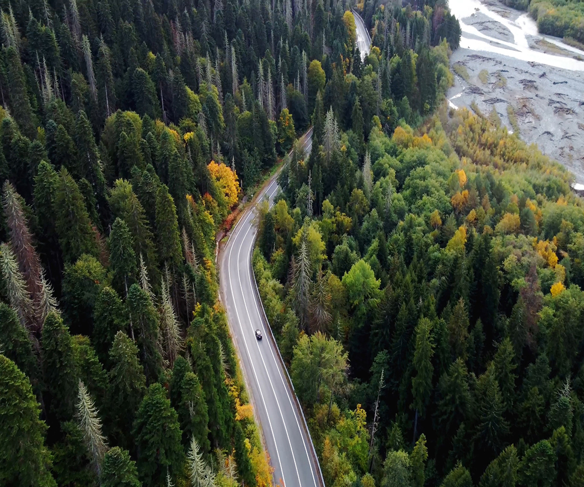 Arial view of a road through a forest
