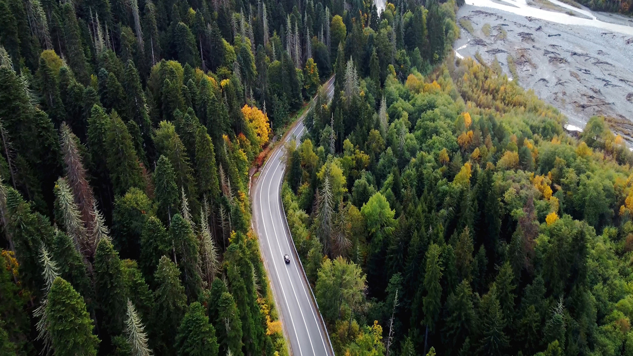 Arial view of a road through a forest