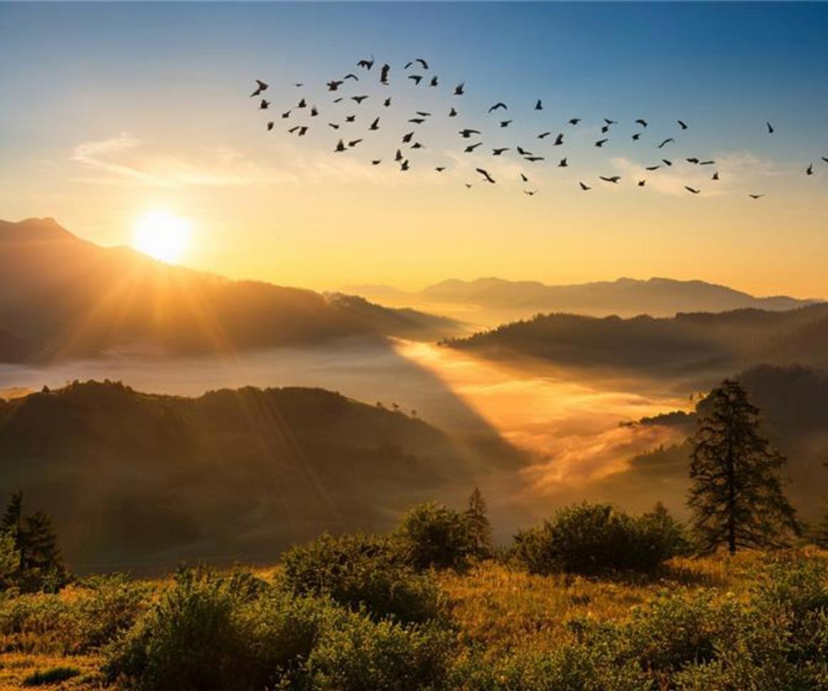 DB Pensions Priorities Survey