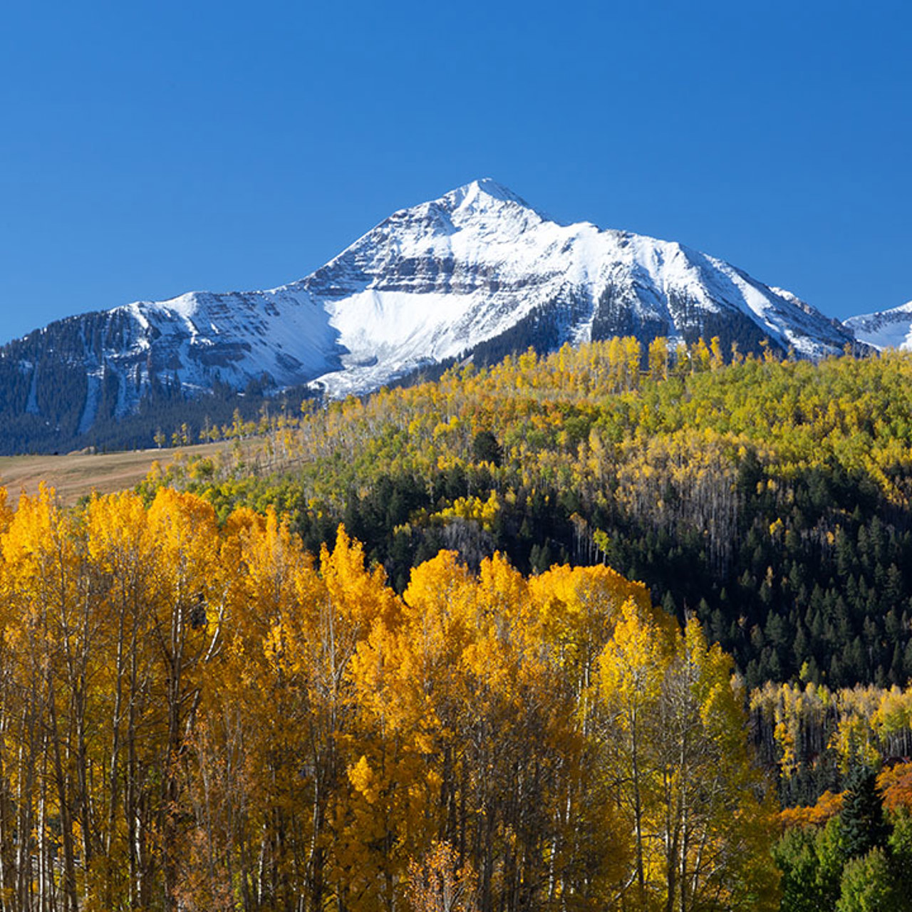 Aspen Valley In Front Of Mountain