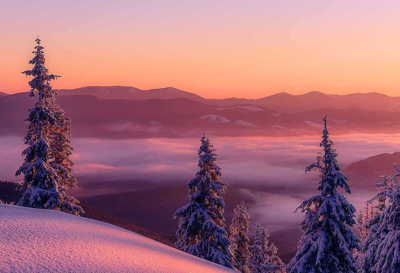Snowy mountain range with trees