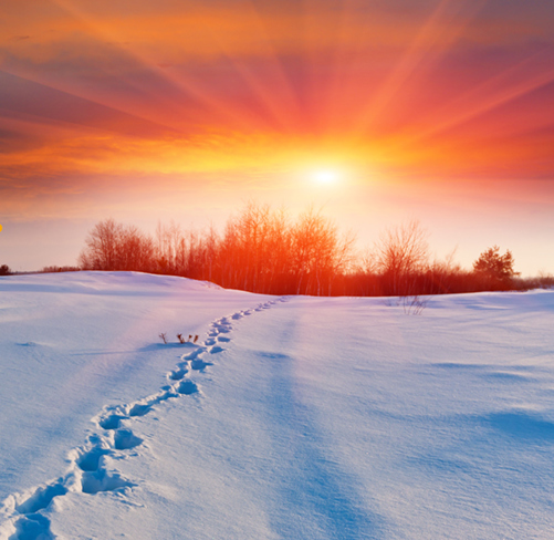 Pensions Accounting - Preparing for year-end: navigating surpluses and a new mortality era