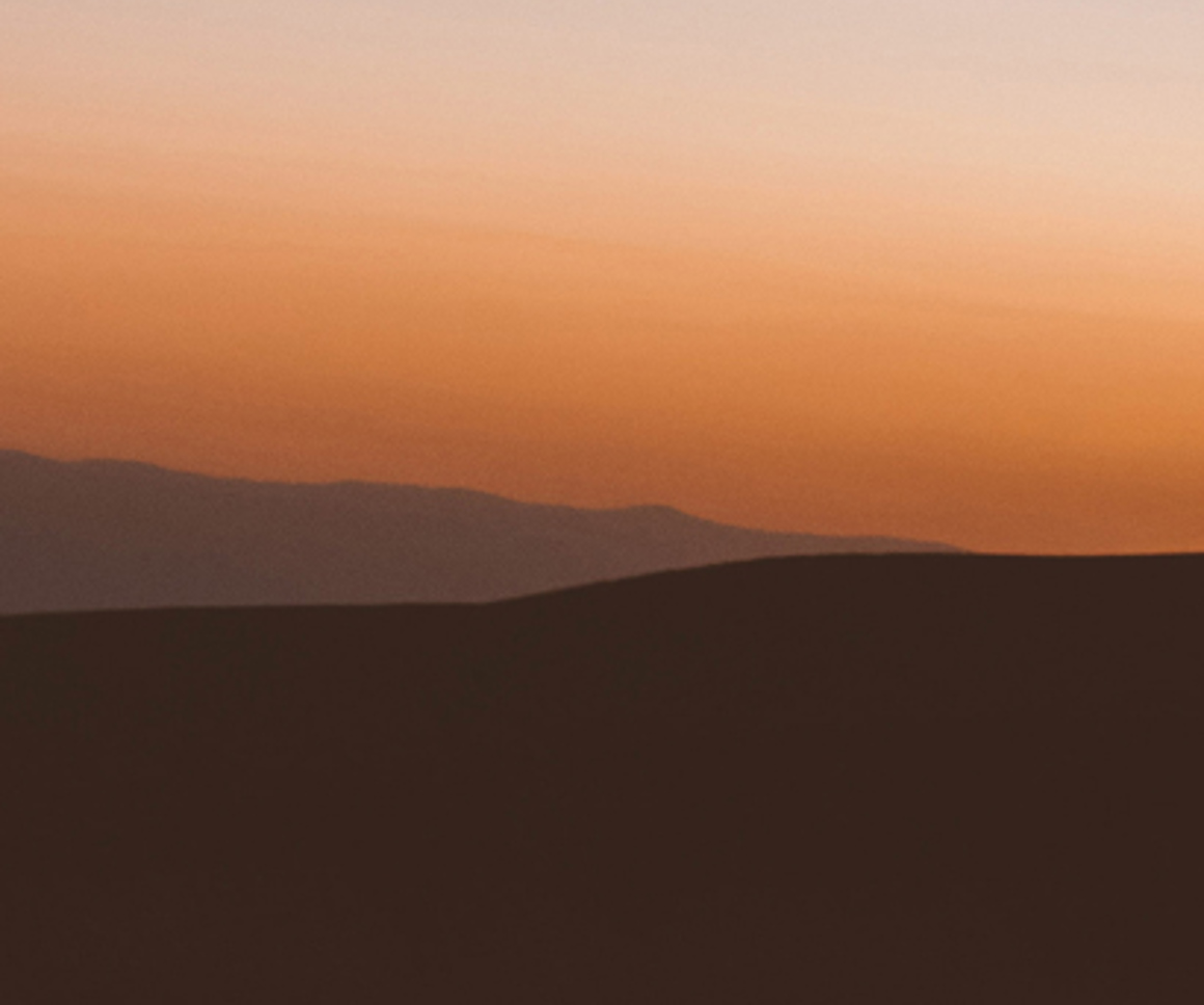 Desert landscape