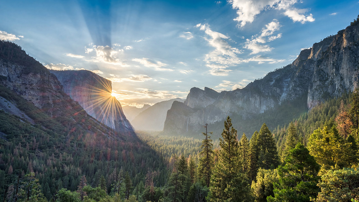 Sunrise In Valley