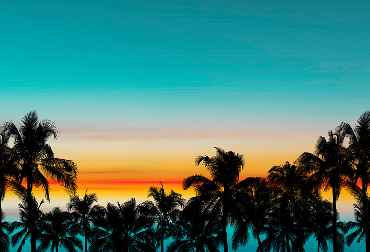 Florida Palm Tree Silhouette