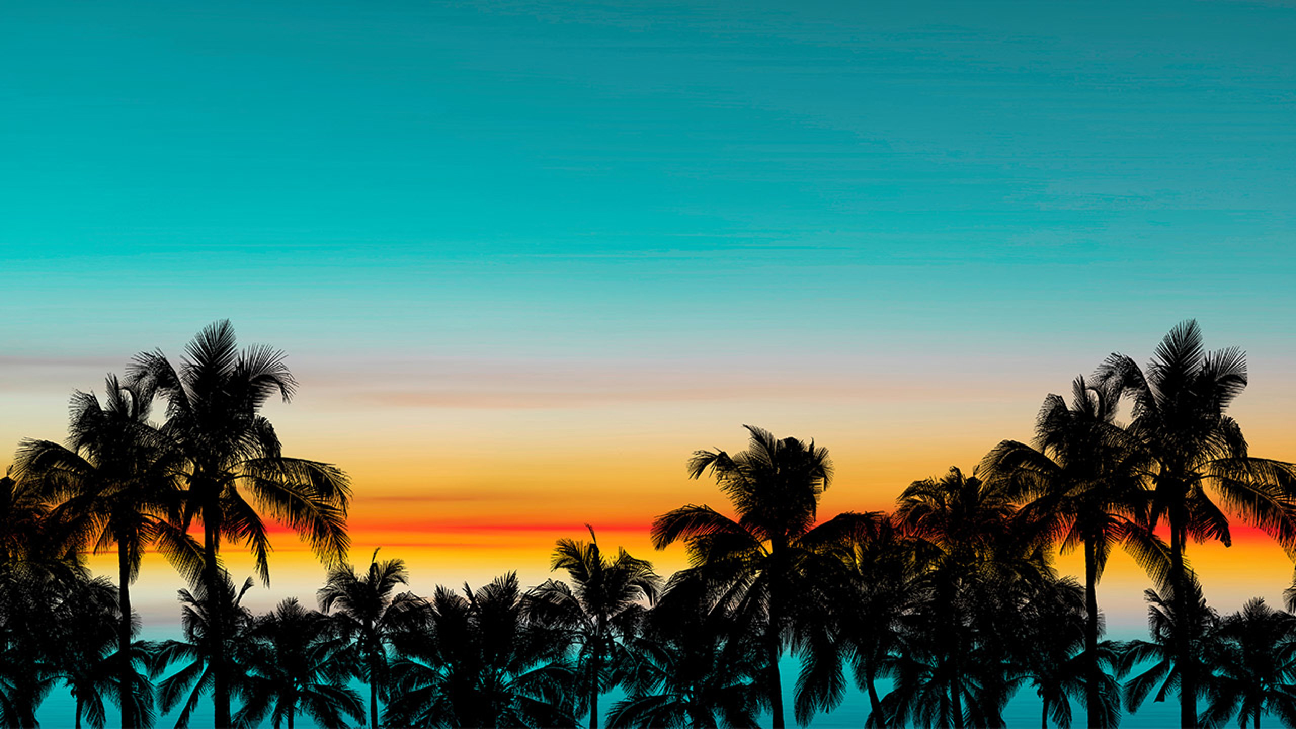 Florida Palm Tree Silhouette