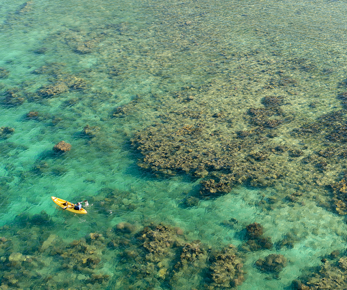 Kayak on a body of shallow water