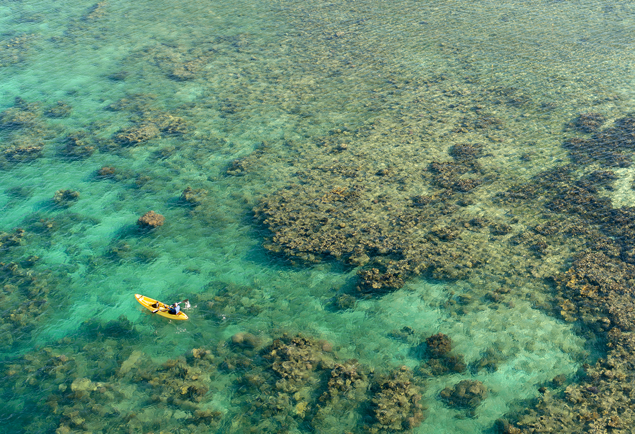 Kayak on a body of shallow water