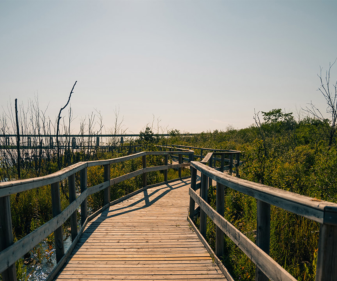Beach Board Walk